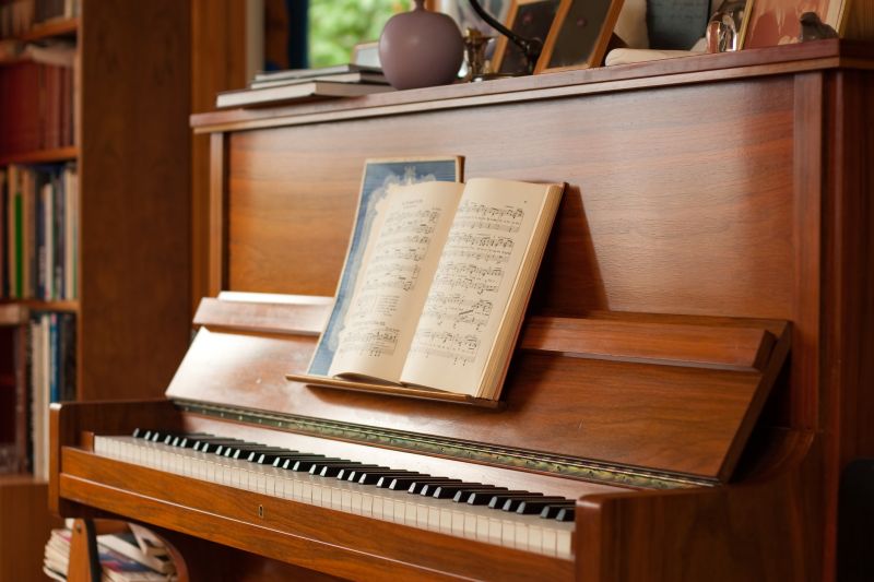 Piano Moving Service detail