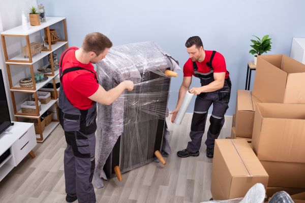 Apartment Moving Assistance